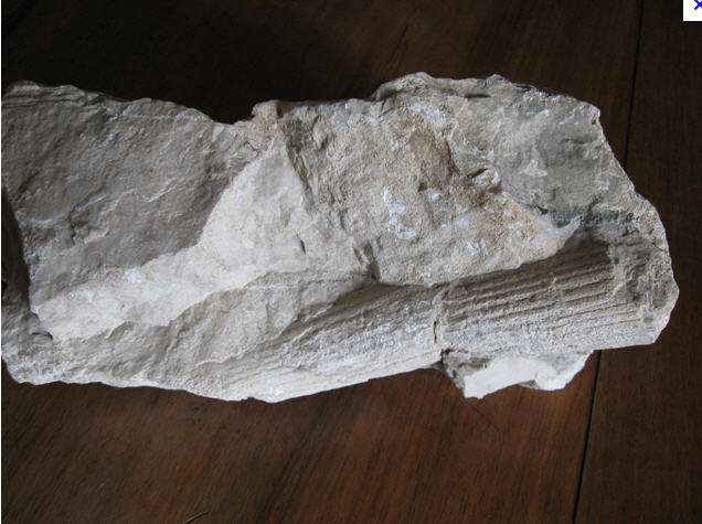 Minerale o fossile